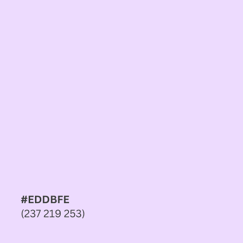 RAIDLOG light purple